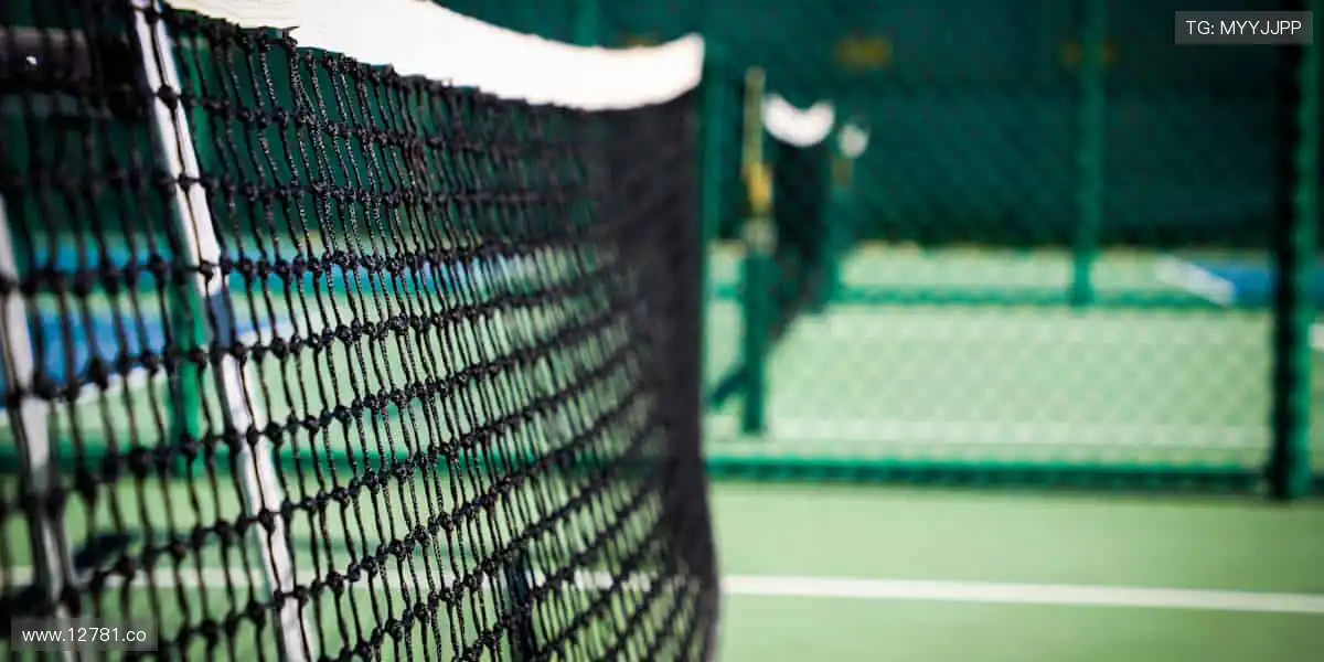 精彩影视,尽在掌握!🎥🔥